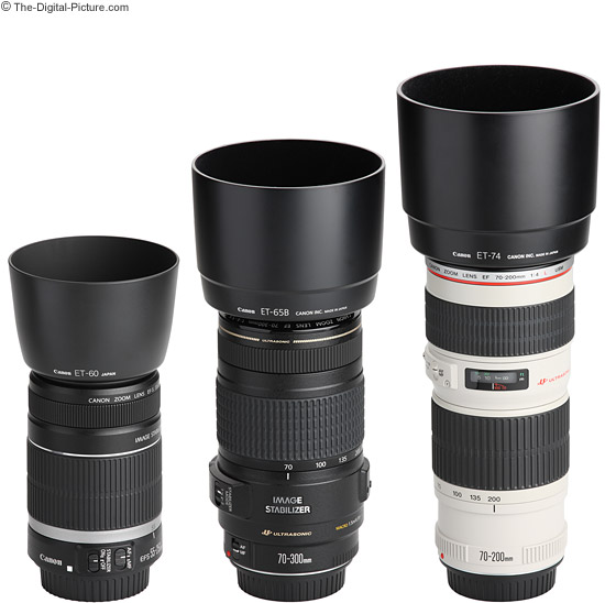 http://www.the-digital-picture.com/Images/Other/Canon-Telephoto-Zoom-Lens-Comparison-5.jpg