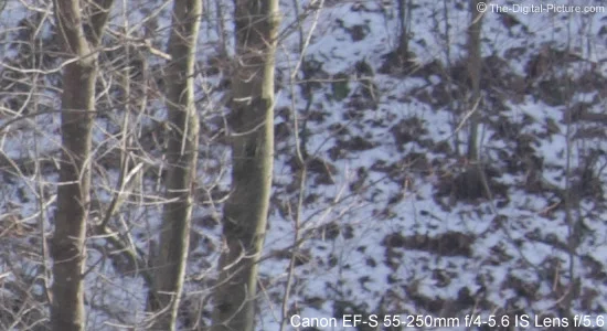Canon EF-S 55-250mm f/4-5.6 IS Lens Review