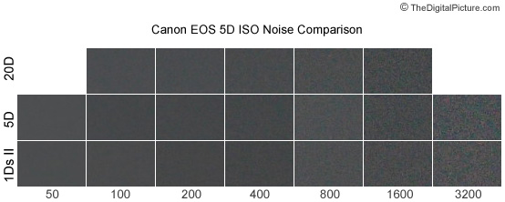 Canon EOS 5D ISO Noise Comparison