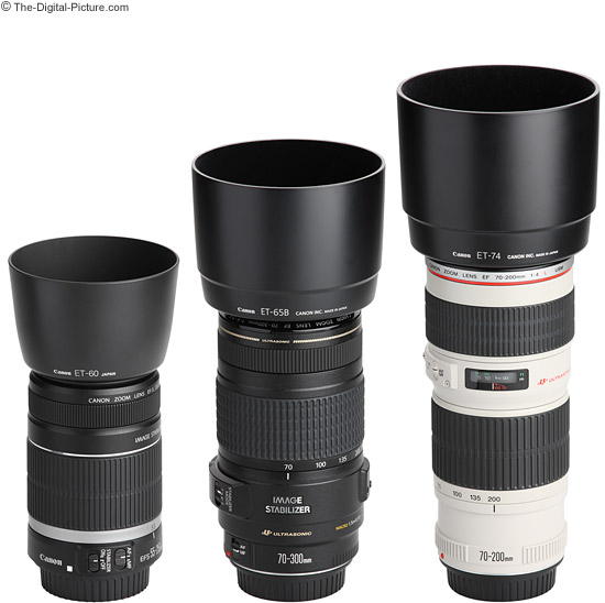 Canon EF-S 55-250mm f/4-5.6 IS Lens Review