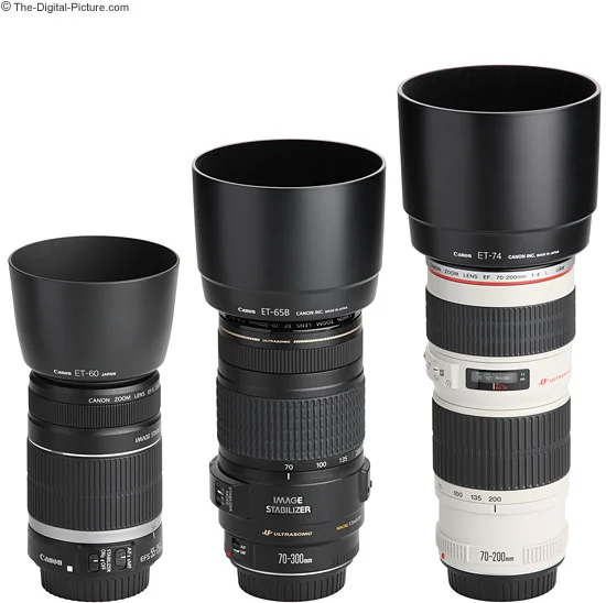 Canon EF 70-300mm f/4-5.6 IS USM Lens Compared to Similar Telephoto Zoom Lenses - Hoods Attached