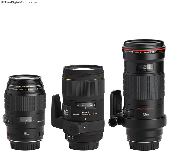 Sigma 150mm f/2.8 EX DG HSM Macro Lens Compared to Canon Macro Lenses