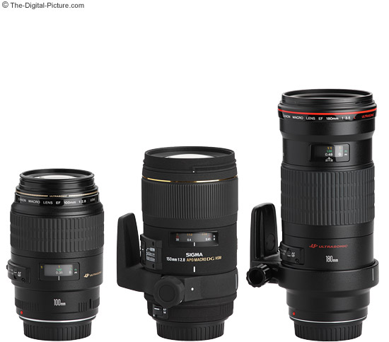 Sigma 150mm f/2.8 EX DG APO HSM Macro Lens Review