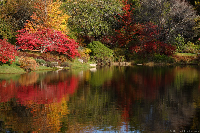 Asticou Azalea Garden Northeast Harbor Maine