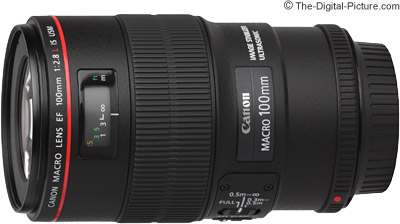 Canon EF 100mm f/2.8L IS USM Macro Lens Review