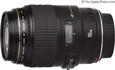 Canon EF 100mm f/2.8 USM Macro Lens Review