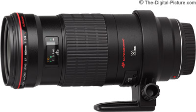 Canon EF 180mm f/3.5L USM Macro Lens Review