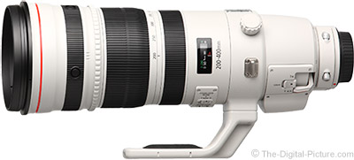 Canon EF 200-400mm f/4L IS USM Extender 1.4x Lens Review