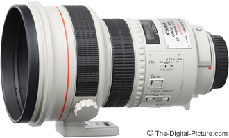 Canon EF 200mm f/1.8 L USM Lens Review