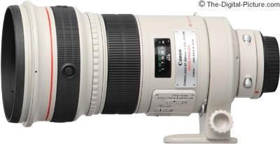 Canon EF 300mm f/2.8L IS USM Lens Review