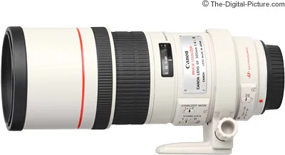 Canon EF 300mm f/4L IS USM Lens Review