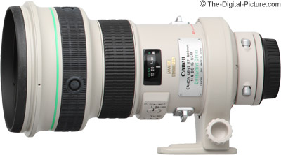 Stressvol Onzin Parasiet Canon EF 400mm f/4 DO IS USM Lens Review