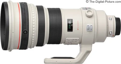 Canon EF 400mm f/2.8L IS USM Lens Review