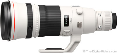 Canon EF 500mm f/4L IS II USM Lens Review