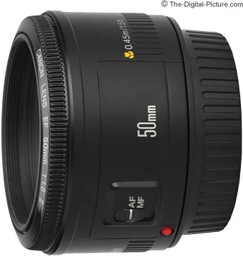 Canon EF 50mm f/1.8 STM Review 2024 (Best Nifty Fifty?)