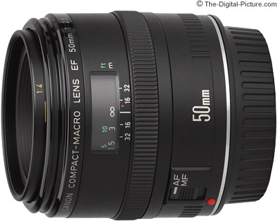 Canon EF 50mm f/2.5 Macro Lens Review