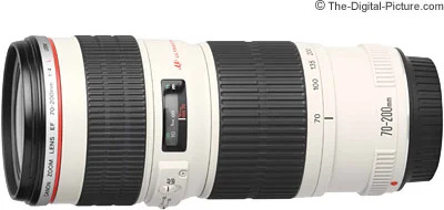 Canon EF 70-200mm f/4L USM Lens Review