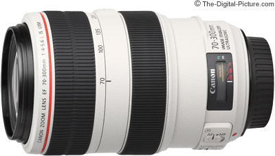 Canon Ef 70 300mm F 4 5 6l Is Usm Lens Sample Pictures