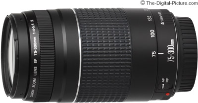 Canon EF 75-300mm f/4-5.6 III Lens Review