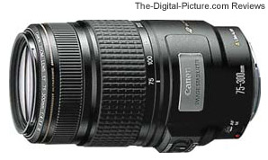 knijpen weduwnaar afwijzing Canon EF 75-300mm f/4-5.6 IS USM Lens Review