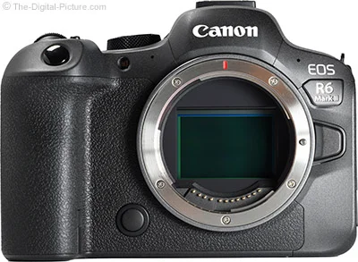My Review of the Canon EOS R6 Mark II: Is It Better Than the First Version?