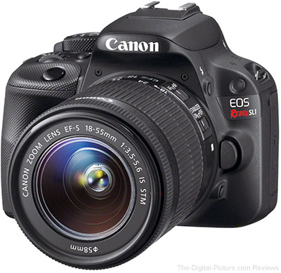 Canon EOS Rebel SL1 / 100D Review