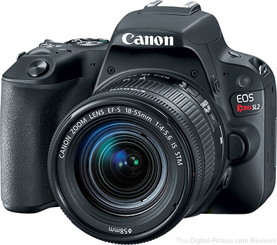 ruw steekpenningen Middelen Canon EOS Rebel SL2 / 200D Review