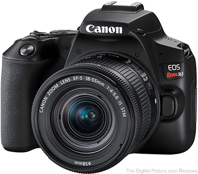 til bundet Mars vigtigste Canon EOS Rebel SL3 / 250D Review