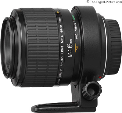 Canon MP-E 65mm 1-5x Macro Lens Review