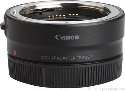 Canon Mount Adapter EF-EOS R Review