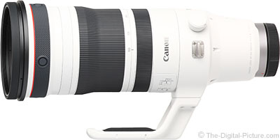 Canon RF 100-300mm F2.8 L IS USM Lens Review