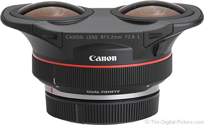 Onderbreking Habubu baden Canon RF 5.2mm F2.8 L Dual Fisheye 3D VR Lens Review