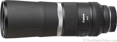Canon RF 800mm F11 IS STM Lens Review