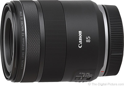 Canon RF 85mm F2 Macro IS STM Lens Review