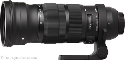 nikon 300mm 2.8 with 2x teleconverter