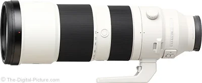 Sony FE 200-600mm F5.6-6.3 G OSS Lens Review