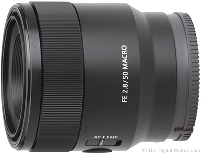 Sony FE 50mm F2.8 Macro Lens Review