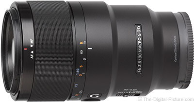 Sony FE 90mm F2.8 Macro G OSS Lens Review
